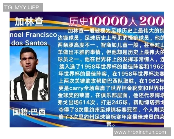 谁才是历史上最成功的足球巨星从荣誉成就到影响力全面解析